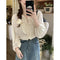 V-neck Long Sleeve Chiffon Shirt