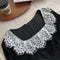 Royalcore Lace Collar Velvet Dress